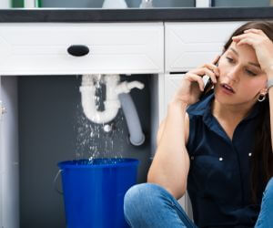 About Emergency plumbing pros Gruetli Laager, TN